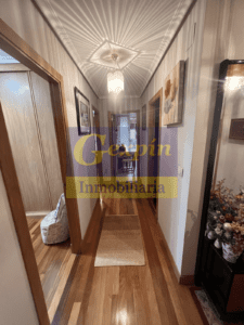 Entrada y distribución